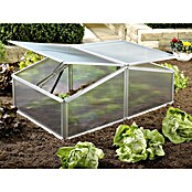 Vitavia Frühbeet Gaia XS (60 x 100 x 26 cm, Transparent, Polycarbonat)