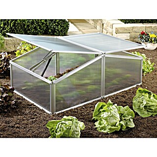 Vitavia Frühbeet Gaia XS (60 x 100 x 26 cm, Transparent, Polycarbonat)