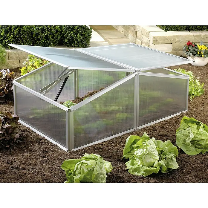 Vitavia Frühbeet Gaia XS - 60 x 100 x 26 cm, Transparent, Polycarbonat - Ein geräumiges Frühbeet mit geöffnetem Deckel in einem Gartenbeet, das optimalen Schutz für Salate und Pflanzen bietet.