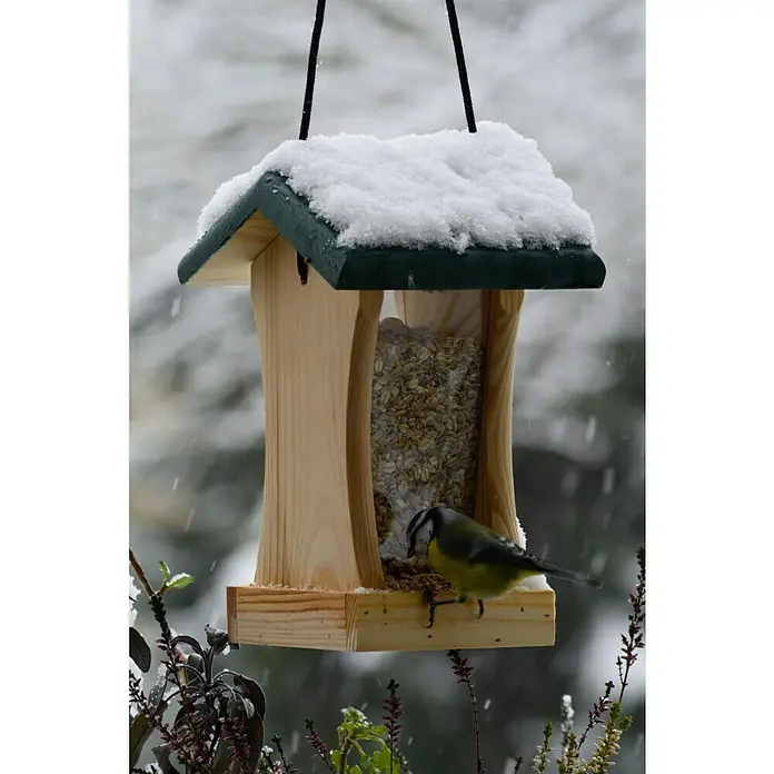 Dobar Futterspender - 16 x 16 x 24 cm, Kiefer, Ausstattung: Mit Silo - Ein hölzernes Vogelhaus mit Schnee auf dem Dach, gefüllt mit Vogelfutter, während ein Blaumeise darauf sitzt und frisst.