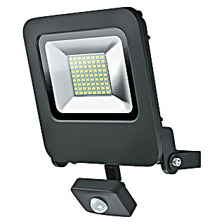 Ledvance LED reflektor Endura Flood (50 W, Antracit, Topla bijela, IP44)