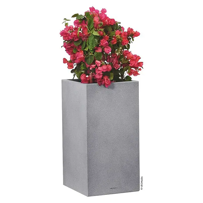 Lechuza Color Pflanzsäule eckig Canto - Außenmaß (L x B x H): 40 x 40 x 76 cm, Kunststoff, Steingrau - Ein grauer LECHUZA-Pflanzkübel mit einer üppigen, rot blühenden Pflanze, ideal für den Innen- und Außenbereich. Stilvolles Design für Garten und Wohnraum.
