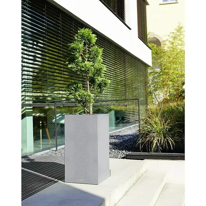 Lechuza Color Pflanzsäule eckig Canto - Außenmaß (L x B x H): 40 x 40 x 76 cm, Kunststoff, Steingrau - Eine graue LECHUZA Pflanzsäule mit einer immergrünen Pflanze vor einem modernen Gebäude. Die Pflanzsäule ist stilvoll und fügt sich gut in die Umgebung ein.