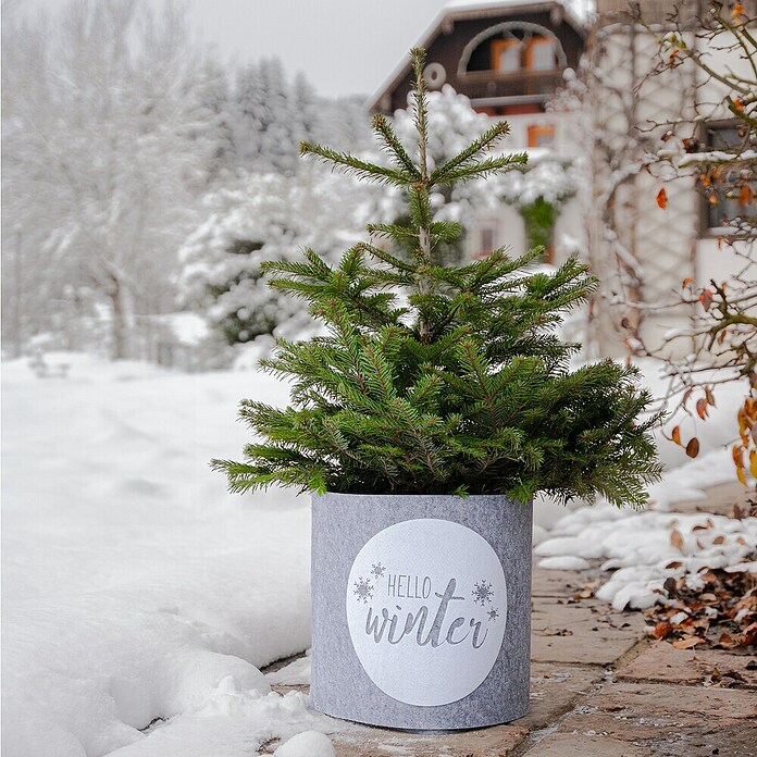 Windhager Dekoartikel Topfschutz Hello Winter (Grau, Frostschutz, Länge: 40 cm, Rund) | BAUHAUS