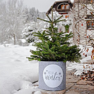 Windhager Dekoartikel Hello Winter (Grau, Frostschutz, Länge: 40 cm, Rund)