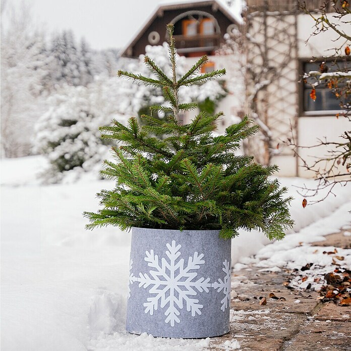 Windhager Dekoartikel Tropfschutz Schneeflocke (Grau, Frostschutz, Länge: 40 cm, Rund) | BAUHAUS