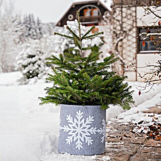 Windhager Dekoartikel Schneeflocke (Grau, Frostschutz, Länge: 40 cm, Rund)