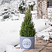 Windhager Dekoartikel Topfschutz Hello Winter (Grau, Frostschutz, Länge: 25 cm, Rund) | BAUHAUS