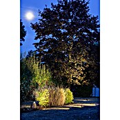 Heissner Začetni set LED reflektorjev  (3 kos, Toplo bela) | 7456 - Teichbeleuchtung | IAGE - Teiche und Zubehör | IAG - Außenbereichsausstattung | IA - Gartenhartware | I - Stadtgarten | BAUHAUS