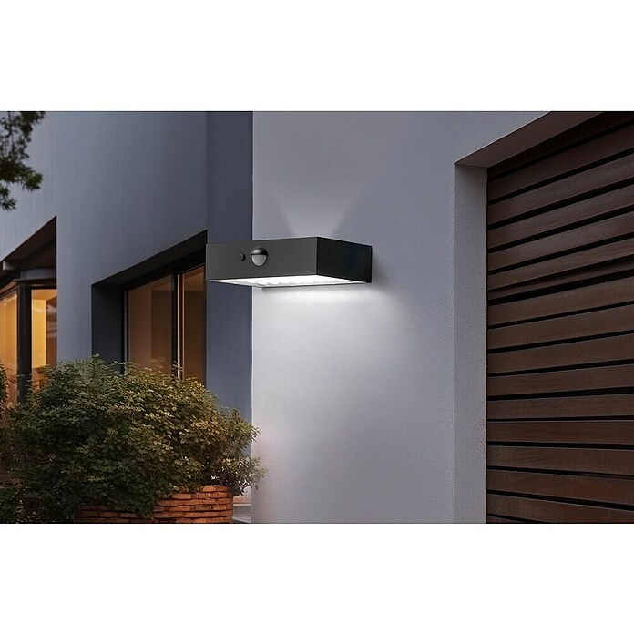 Garza Aplique exterior LED con sensor David (L x An x Al: 90 x 137 x 36 mm, 5 W, Color del marco: Negro, Color de luz: Blanco neutro) | BAUHAUS