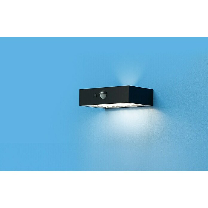 Garza Aplique exterior LED con sensor David (L x An x Al: 90 x 137 x 36 mm, 5 W, Color del marco: Negro, Color de luz: Blanco neutro) | BAUHAUS