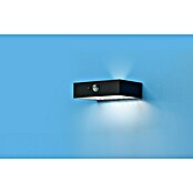 Garza Aplique exterior LED con sensor David (L x An x Al: 90 x 137 x 36 mm, 5 W, Color del marco: Negro, Color de luz: Blanco neutro) | BAUHAUS
