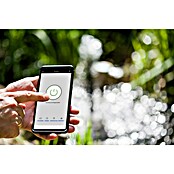 Heissner WiFi-Schaltsteckdose (Schwarz, 3.680 W)
