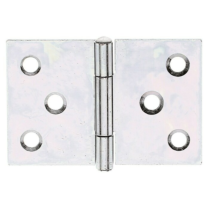 Alberts Bisagra (An x Al: 60 x 40 mm, Zincado) | BAUHAUS