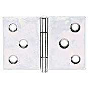 Alberts Bisagra (An x Al: 60 x 40 mm, Zincado) | BAUHAUS