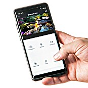 Heissner WiFi-Schaltsteckdose (Schwarz, 3.680 W)