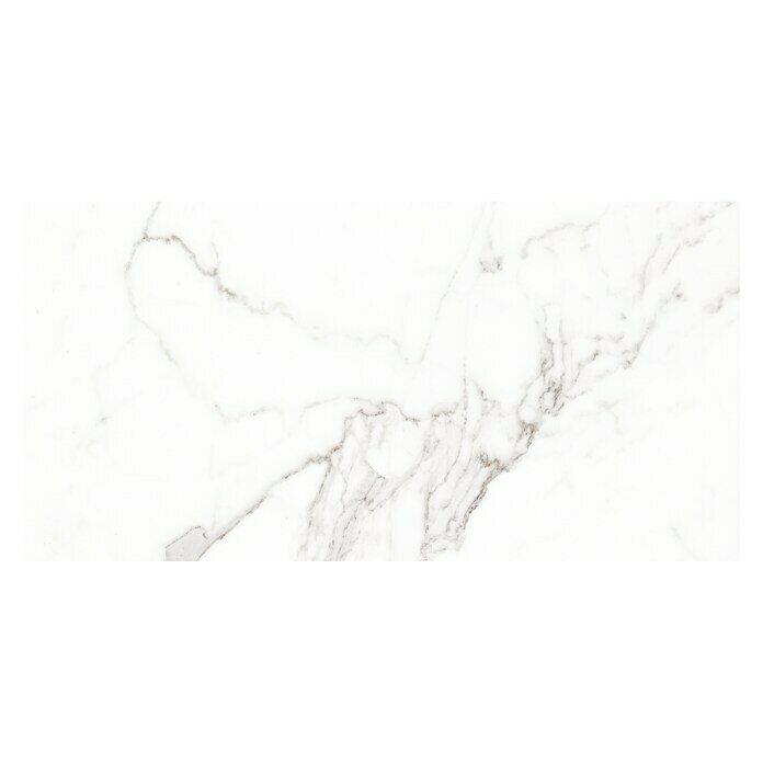 Pavimento porcelánico Palatina (30 x 60 cm, Blanco Carrara, Brillante)