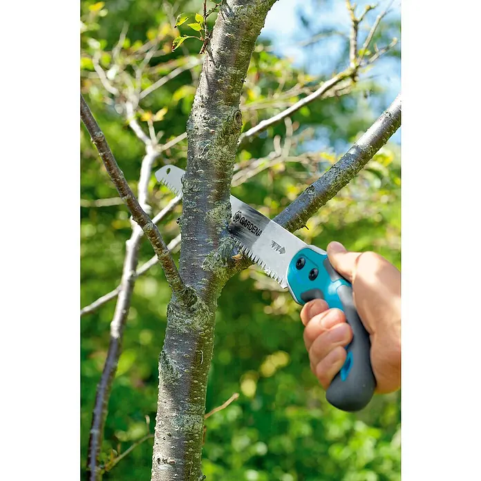 Gardena Sierra de podar manual 300 P - Largo: 495 mm, Plástico, Plateado, Negro, Turquesa - Primer plano de una persona podando una rama de árbol con una sierra de podar Gardena, centrándose en la sierra y el corte.