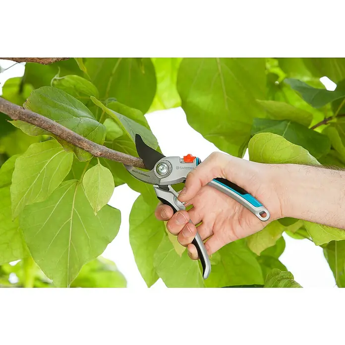 Gardena Comfort Tijeras de jardinería B/L - Bypass, Grosor de rama máx.: 25 mm - Tijeras de podar Gardena cortando una rama en un jardín verde y exuberante. Logra cortes precisos para plantas sanas con herramientas de calidad.