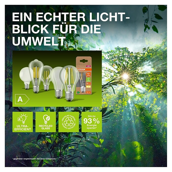 Osram LED-Lampen Set PAR16 (2 W, 360 lm, 1 Stk.) | BAUHAUS