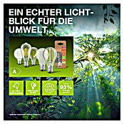 Osram LED-Lampen Set PAR16 (2 W, 360 lm, 1 Stk.) | BAUHAUS