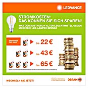 Osram LED-Lampen Set PAR16 (2 W, 360 lm, 1 Stk.) | BAUHAUS