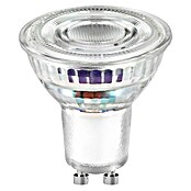 Osram LED-Lampen Set PAR16 (2 W, 360 lm, 1 Stk.) | BAUHAUS