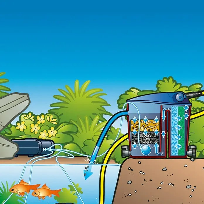 Ubbink Teichbelüfter Air 2000 outdoor - 14 W, Teichgröße: 1 m³ - 10 m³ - Illustration eines Teichfiltersystems, das Wasser reinigt und in einen Fischteich zurückführt. Das System ist im Querschnitt dargestellt.
