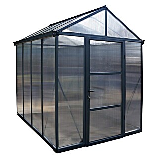 Palram – Canopia Gewächshaus Glory 6x8 (1,95 x 2,44 x 2,68 m, Glasstärke: 10 mm, Polycarbonat)