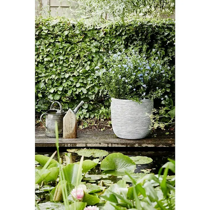 Capi Europe Nature Rib NL Übertopf rund Rib - Außenmaß (Ø x H): 23 x 21 cm, Elfenbein, Polyester - Schöne blaue Blumen in einem großen, weißen, horizontal gestreiften Topf neben einer Gießkanne am Teichrand.
