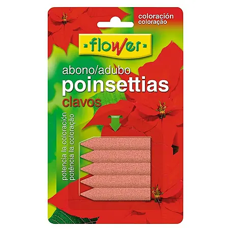 Flower  Abono Poinsettias