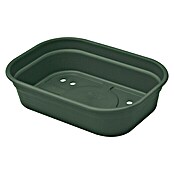 Elho Green Basics Anzuchtschale (23,9 x 19,2 x 6,1 cm, Leaf Green)