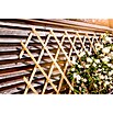 Windhager Faltspalier (B x H: 180 x 45 cm, Holz, Natur)