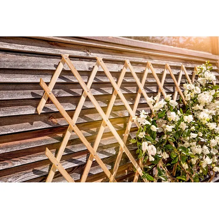 Windhager Faltspalier - B x H: 180 x 120 cm, Holz, Natur - Ein hölzernes Rankgitter an einer Holzwand mit üppigen, weißen Blüten. Ideal, um Kletterpflanzen stilvoll in Ihrem Garten zu präsentieren.