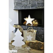 8 Seasons Design Shining LED-Weihnachtsstern Star (1 W, Weiß, Durchmesser: 30 cm)