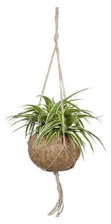 amazon künstliche tannenbäume Künstlicher Weihnachtsbaum für Weihnachten-Dekoration, 120 cm main image 0