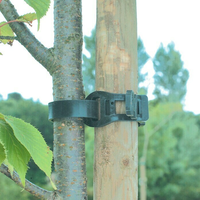 Nortene Brida de fijación para árbol Tree tie (Largo: 55 cm)