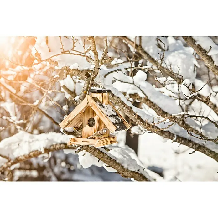Windhager Vogelfutterhaus - L x B x H: 21 x 30 x 25 cm, Natur/Schwarz, Geflammt, Holz - Ein hölzernes Vogelhaus hängt an einem schneebedeckten Ast, in dem ein kleiner Vogel sitzt, der im Winter einen sicheren Futterplatz bietet.