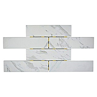 Mozaïektegel brick DOT verbinding Carrara CDJ 01BR (25,2 x 36,7 cm, Wit, Mat)