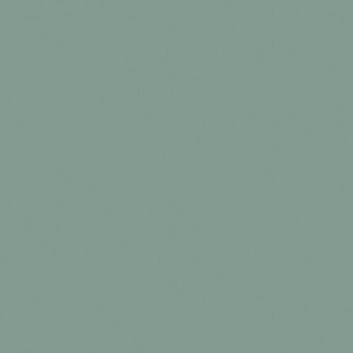 Schöner Wohnen Wandfarbe (Erhabenes Agavengrün, 2,5 l, Feinmatt)