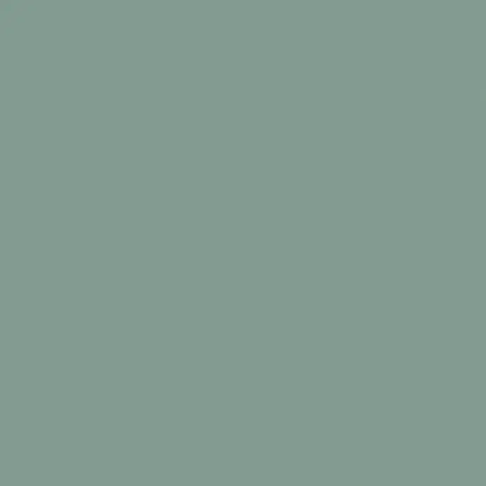 SCHÖNER WOHNEN-Farbe Wandfarbe Designfarbe - Erhabenes Agavengrün, Matt, 2,5 l, Konservierungsmittelfrei - Einfarbiger Hintergrund in einem beruhigenden Graugrün, ideal für Grafikdesign und subtile Präsentationen.