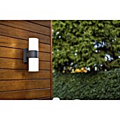 Lutec Aplique exterior LED (15 W, Antracita/Blanco, L x An x Al: 7,8 x 12 x 24,5 cm)