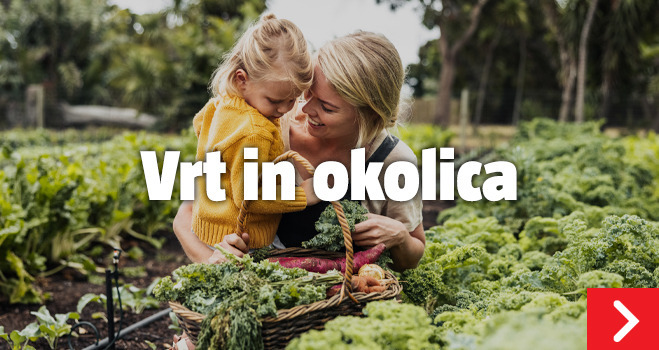 Vrt in okolica