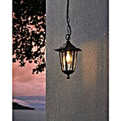 Eglo Laterna 4 Viseća svjetiljka  (60 W, D x Š x V: 20,5 x 20,5 x 90 cm, Boja kućišta: Crne boje, Boja sjenila: Prozirno, IP44) | BAUHAUS