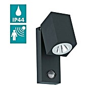 Eglo Vanjska zidna svjetiljka Sakeda  (5 W, Antracit, IP44) | BAUHAUS