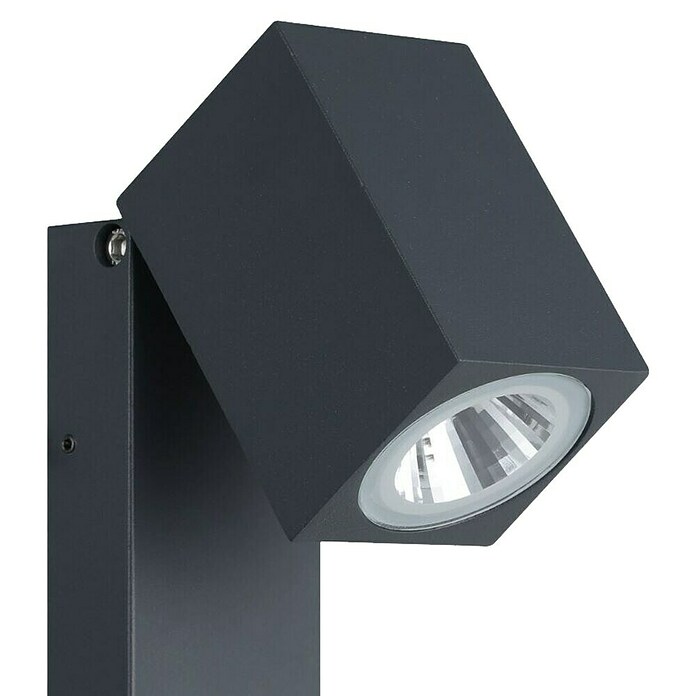 Eglo Vanjska zidna svjetiljka Sakeda  (5 W, Antracit, IP44) | BAUHAUS