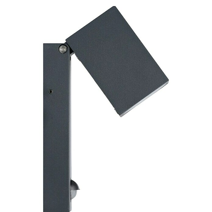 Eglo Vanjska zidna svjetiljka Sakeda  (5 W, Antracit, IP44) | BAUHAUS