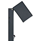 Eglo Vanjska zidna svjetiljka Sakeda  (5 W, Antracit, IP44) | BAUHAUS