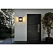 Eglo Vanjska zidna svjetiljka Soncino  (120 W, 330 x 120 x 265 mm, Crne boje, Prozirno, IP44) | BAUHAUS
