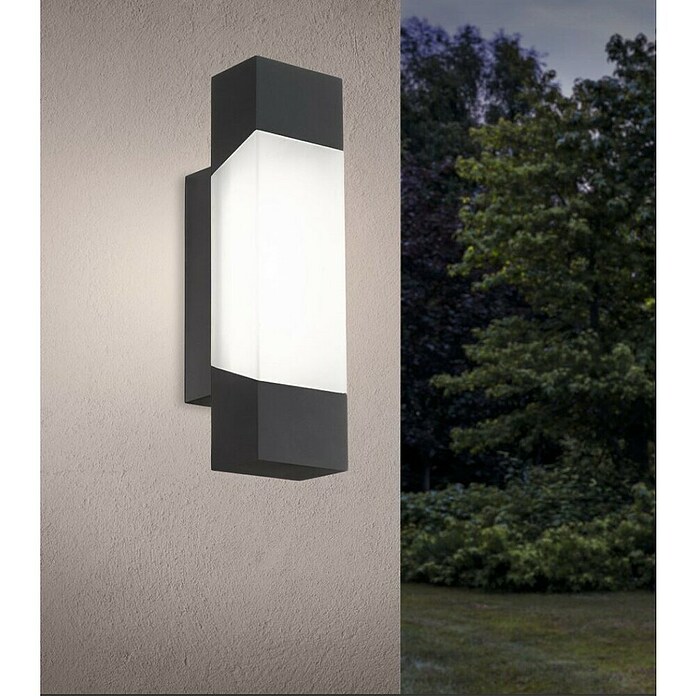 Eglo LED zunanja stenska svetilka Gorzano  (4,8 W, 80 x 105 x 290 mm, Antracit, IP44) | 3078 - Wandleuchte Outdoor | CAJA - Outdoorleuchten Hochvolt | CAJ - Outdoorleuchten | CA - Beleuchtung | C - Elektro | BAUHAUS